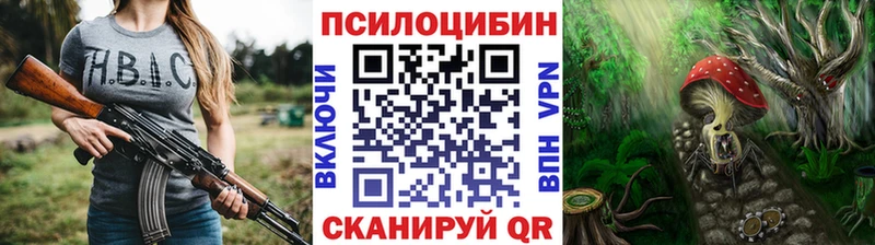 Псилоцибиновые грибы мицелий  Тбилисская 